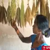 छाया-दैनिक भास्कर